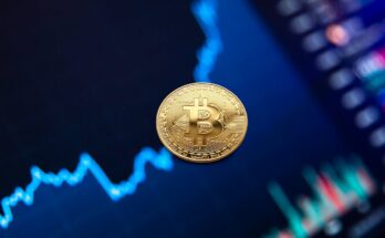 News Donald Trump said about cryptocurrency